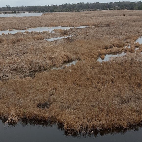 Welcome to my Purse Problem! - Picture 3 of 3